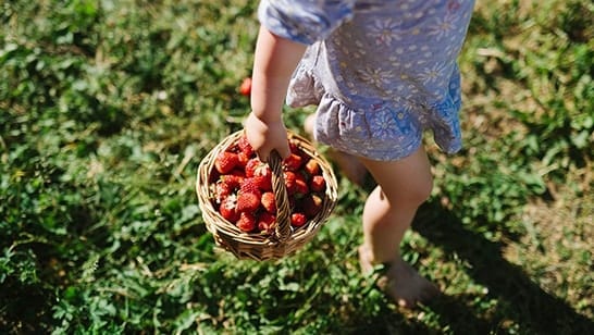 Farmers