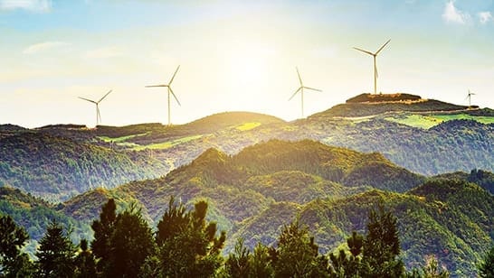 Sustainability