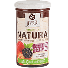 Vanilla Ice Cream with Natura Wild Berries Jam 1